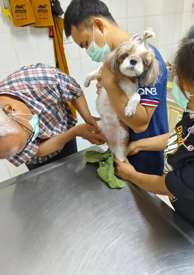 คลินิกสัตว์ วีไอพี คลินิก-โรงพยาบาลสัตว์ กรุงเทพมหานคร 4