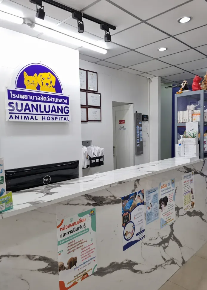 Suan Luang Animal Hospital คลินิก-โรงพยาบาลสัตว์ กรุงเทพมหานคร