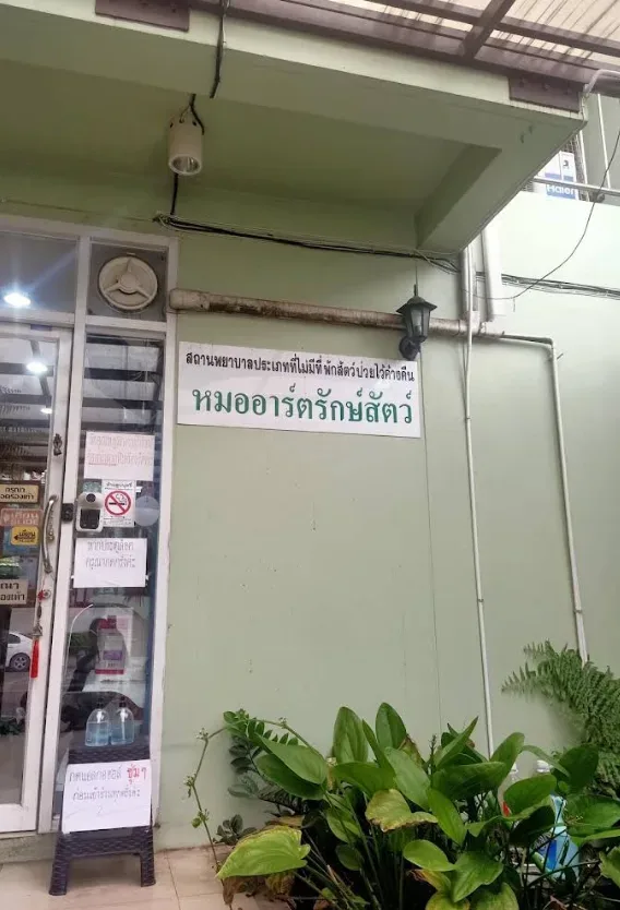 หมออาร์ตรักษ์สัตว์ คลินิก-โรงพยาบาลสัตว์ กรุงเทพมหานคร 3