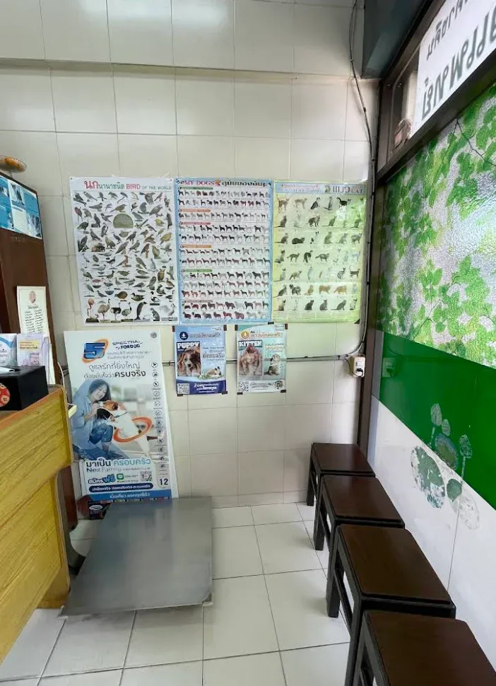 เอ็น.เค.สัตวแพทย์ คลินิกสัตว์ปีกและสัตว์พิเศษเลี้ยงลูกด้วยนม คลินิก-โรงพยาบาลสัตว์ กรุงเทพมหานคร 5