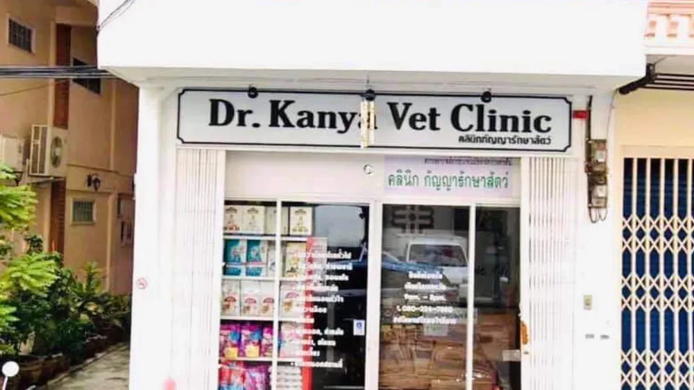 คลินิกกัญญา รักษาสัตว์ Dr.Kanya Vet Clinic