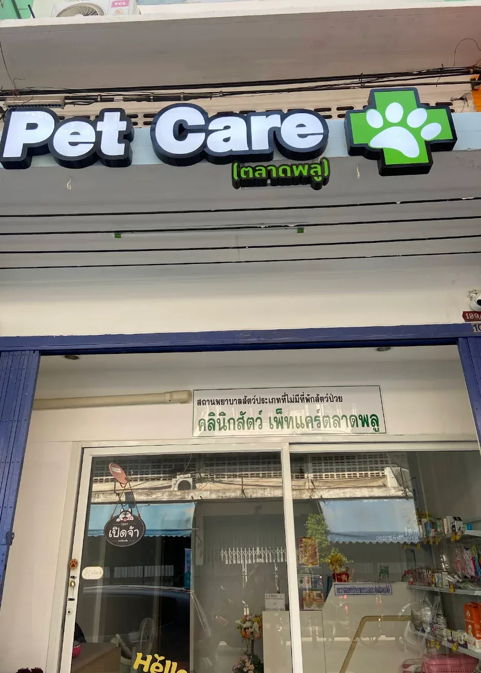 คลินิกสัตว์เพ็ทแคร์ตลาดพลู คลินิก-โรงพยาบาลสัตว์ กรุงเทพมหานคร 2