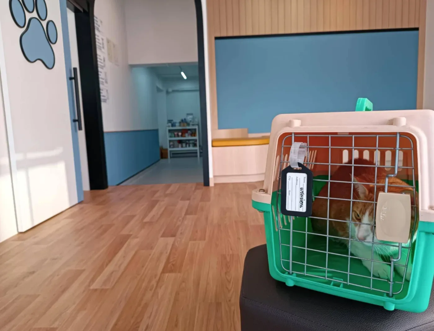 โรงพยาบาลสัตว์ยูเว็ท รามคำแหง (83/2) 24 ชั่วโมง UVET Animal Hospital Ramkhamhaeng คลินิก-โรงพยาบาลสัตว์ กรุงเทพมหานคร 5