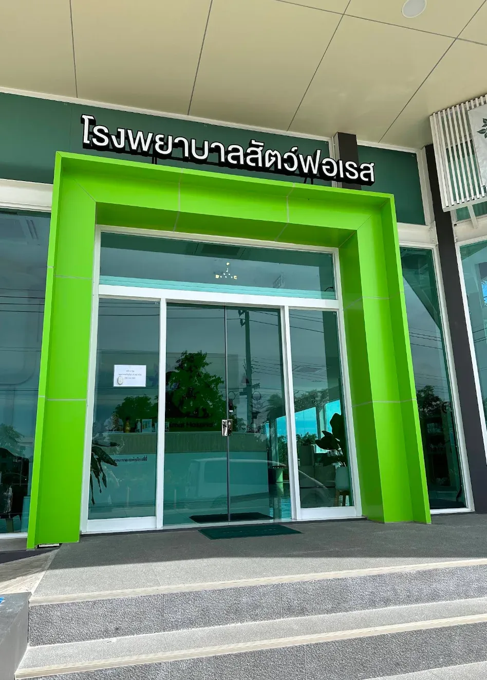 Forest animal hospital คลินิก-โรงพยาบาลสัตว์ กรุงเทพมหานคร 5