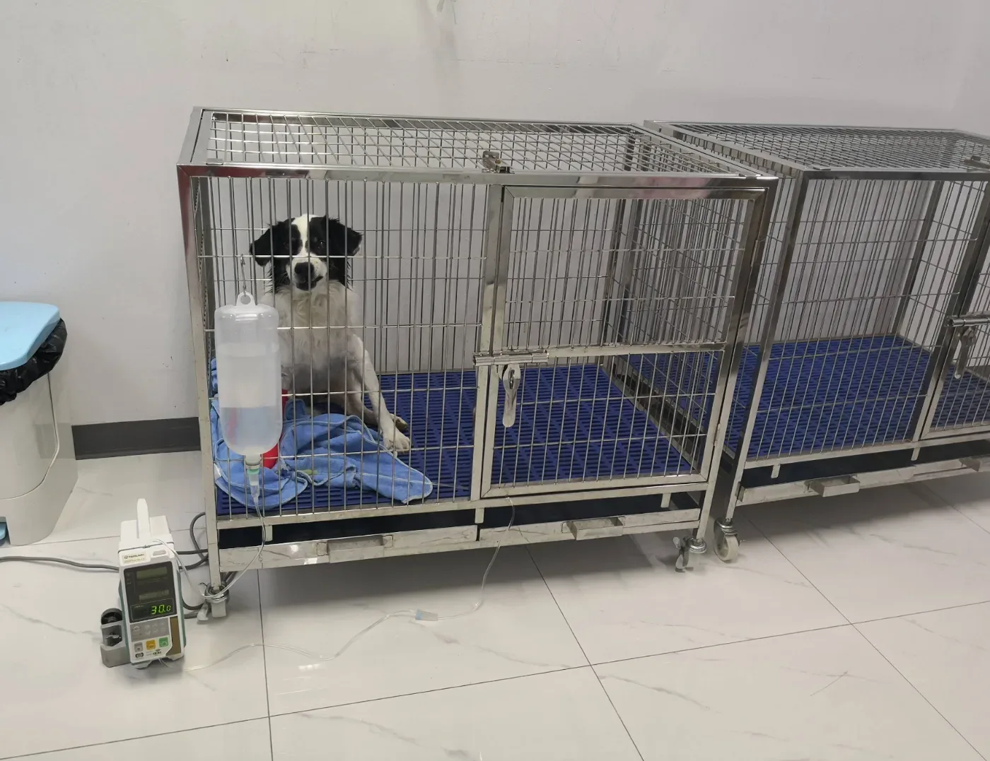 โรงพยาบาลสัตว์ยูเว็ท โชคชัย 4 UVET Animal Hospital Chokchai 4 คลินิก-โรงพยาบาลสัตว์ กรุงเทพมหานคร 4
