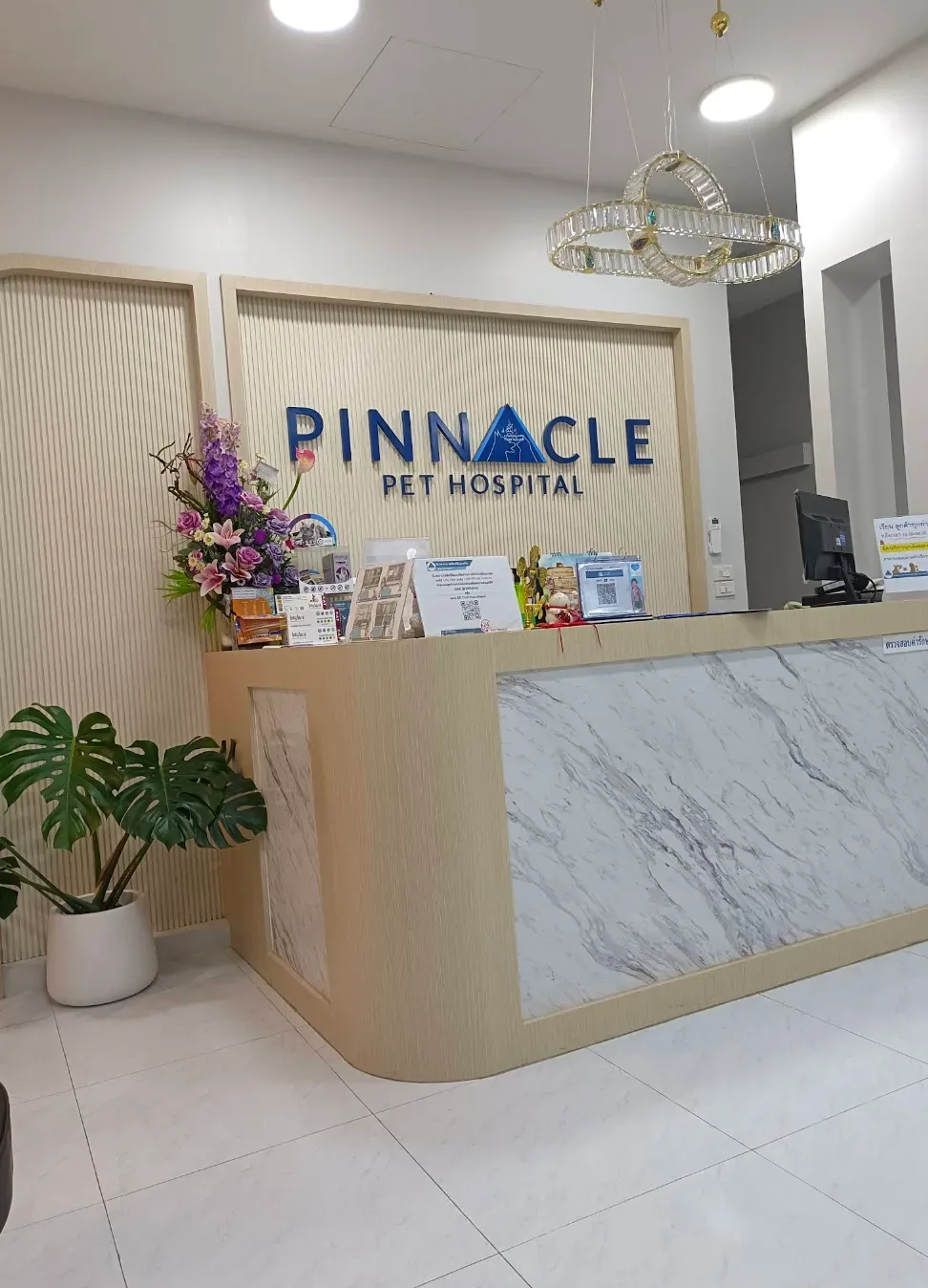 Pinnacle Pet Hospital Bangna คลินิก-โรงพยาบาลสัตว์ สมุทรปราการ 2