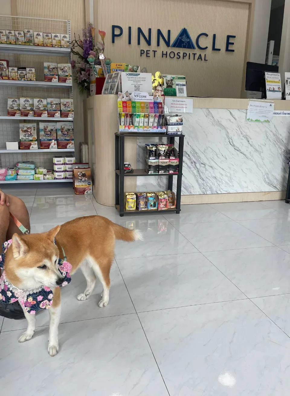 Pinnacle Pet Hospital Bangna คลินิก-โรงพยาบาลสัตว์ สมุทรปราการ 4