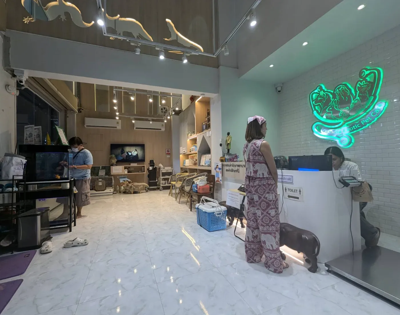 Gamma ExoticPetCare Hospital คลินิก-โรงพยาบาลสัตว์ กรุงเทพมหานคร 5