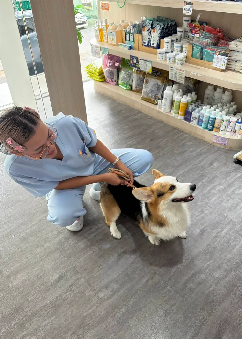 Vetville Pet Hospital Rama3 โรงพยาบาลสัตว์เว็ทวิลล์ พระราม 3 คลินิก-โรงพยาบาลสัตว์ กรุงเทพมหานคร 4