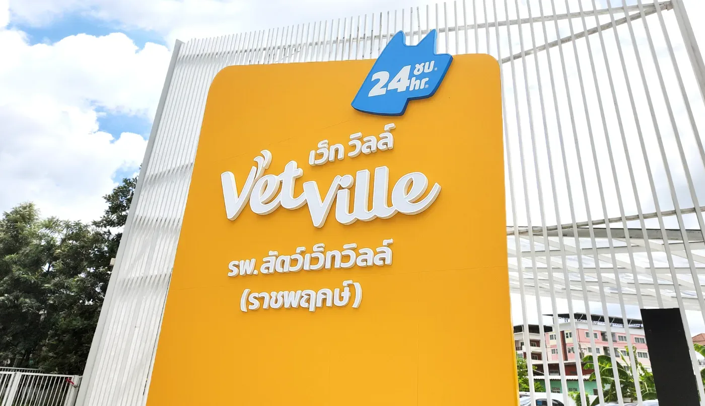 Vetville Pet Hospital Ratchaphruek คลินิก-โรงพยาบาลสัตว์ นนทบุรี