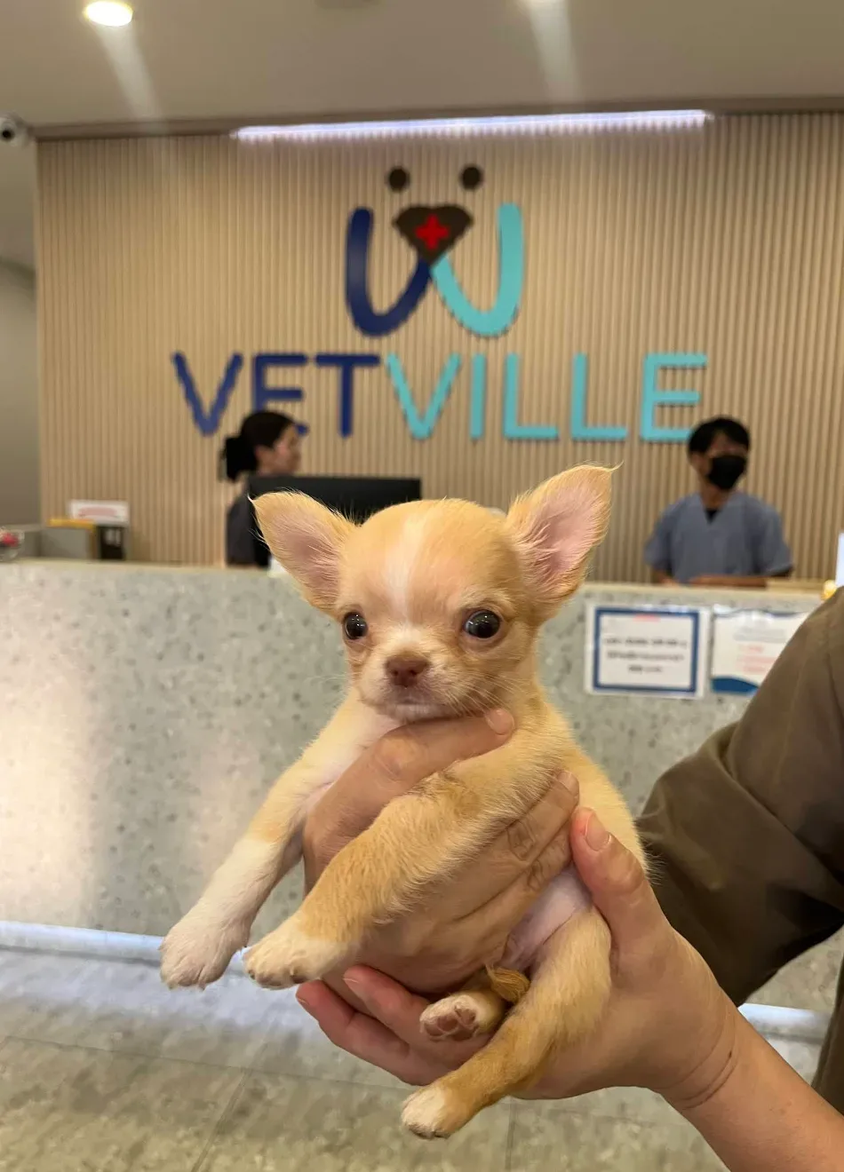 Vetville Pet Hospital Ratchaphruek คลินิก-โรงพยาบาลสัตว์ นนทบุรี 4