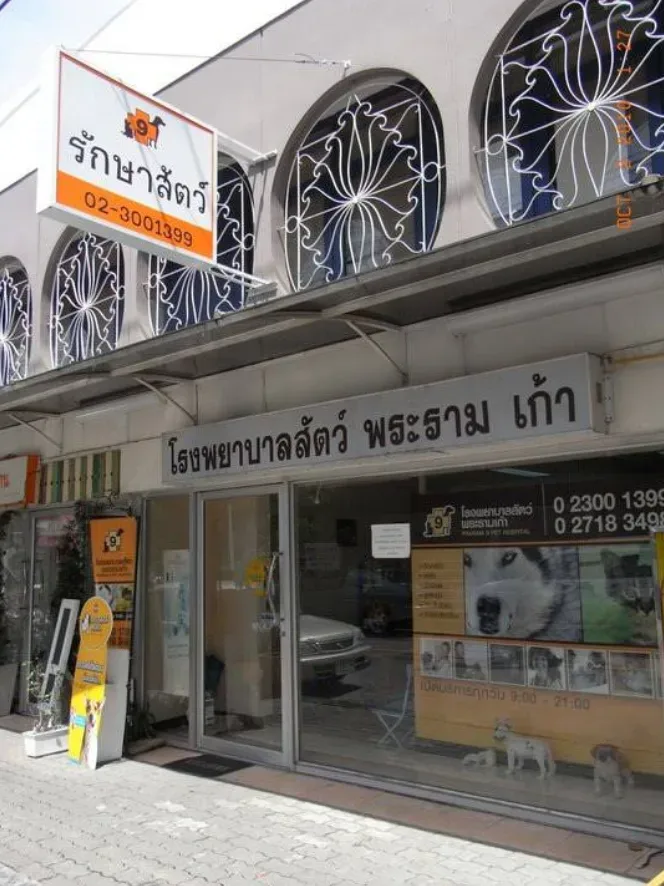 โรงพยาบาลสัตว์พระรามเก้า คลินิก-โรงพยาบาลสัตว์ กรุงเทพมหานคร
