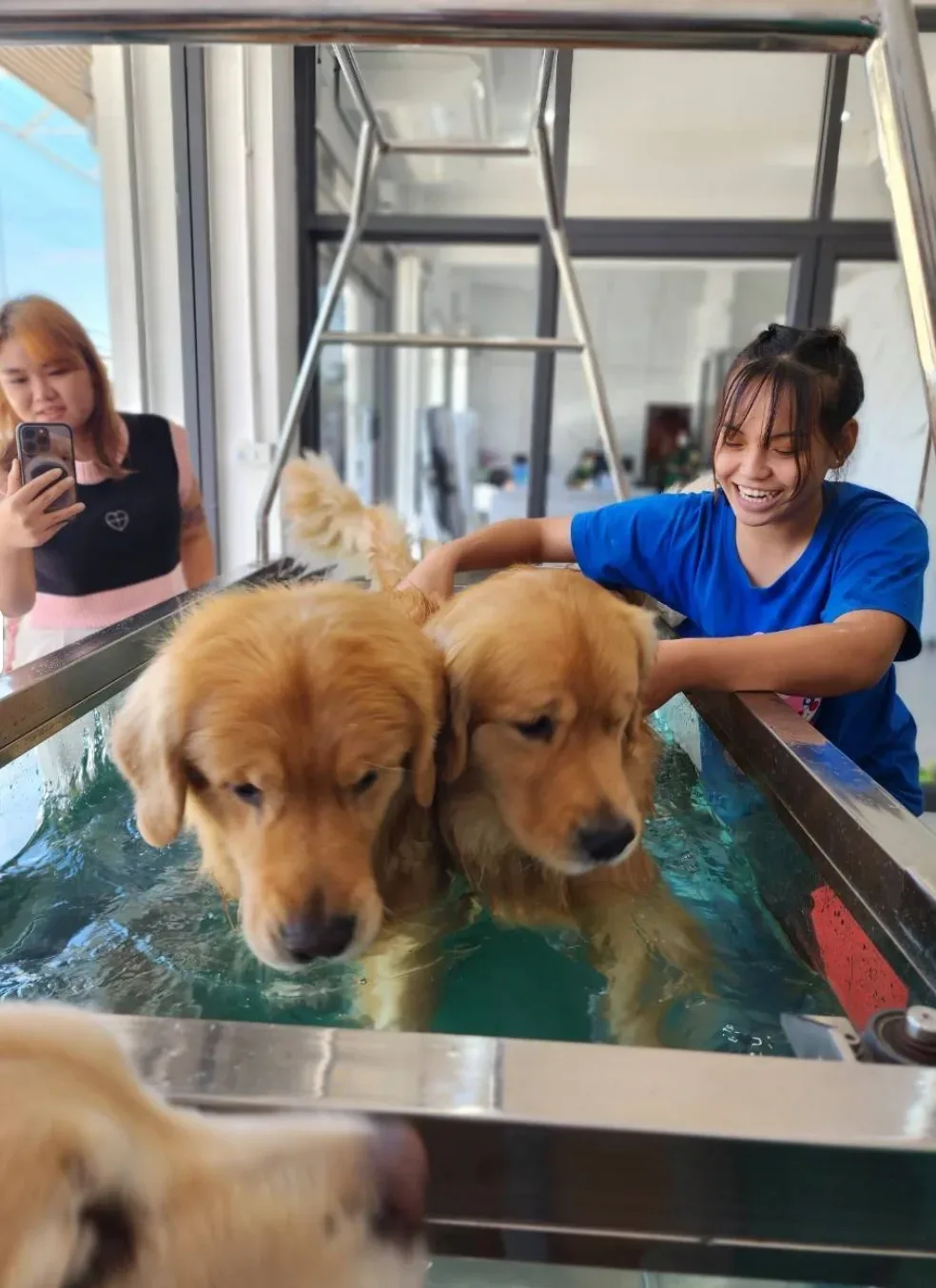 iVET Pet Hospital, West Center Branch คลินิก-โรงพยาบาลสัตว์ นครปฐม 2