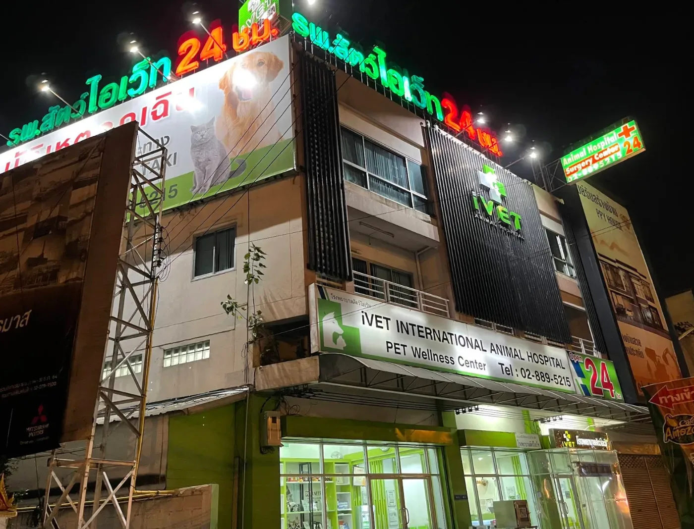 iVET Pet Hospital, West Center Branch คลินิก-โรงพยาบาลสัตว์ นครปฐม 5