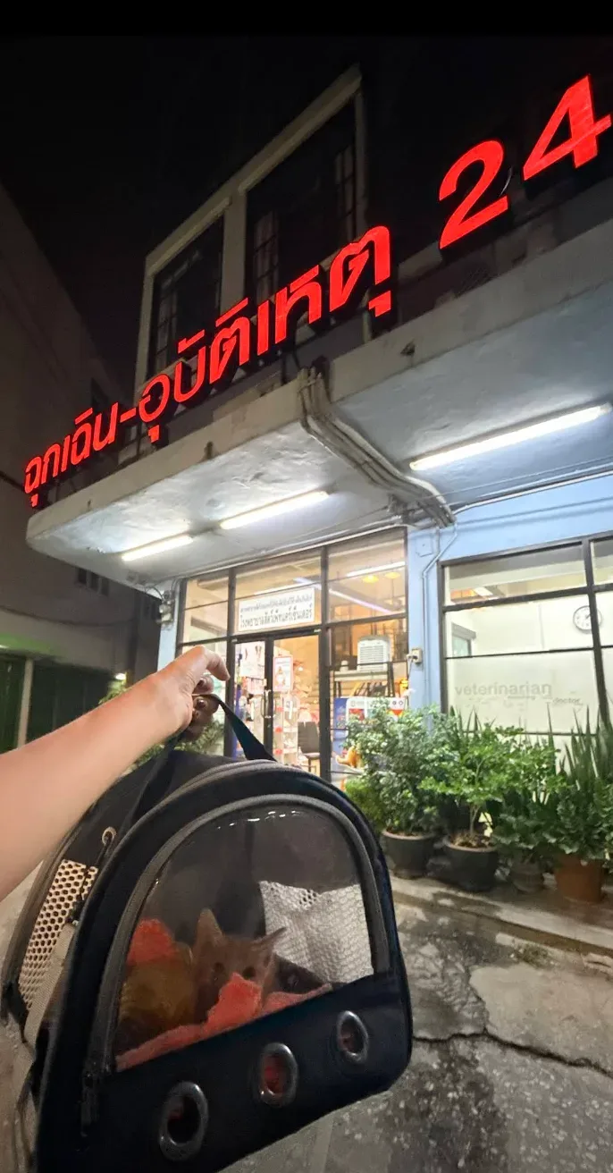 เพ็ทแคร์เซ็นเตอร์ โรงพยาบาลสัตว์ 24 ชม. คลินิก-โรงพยาบาลสัตว์ กรุงเทพมหานคร 6