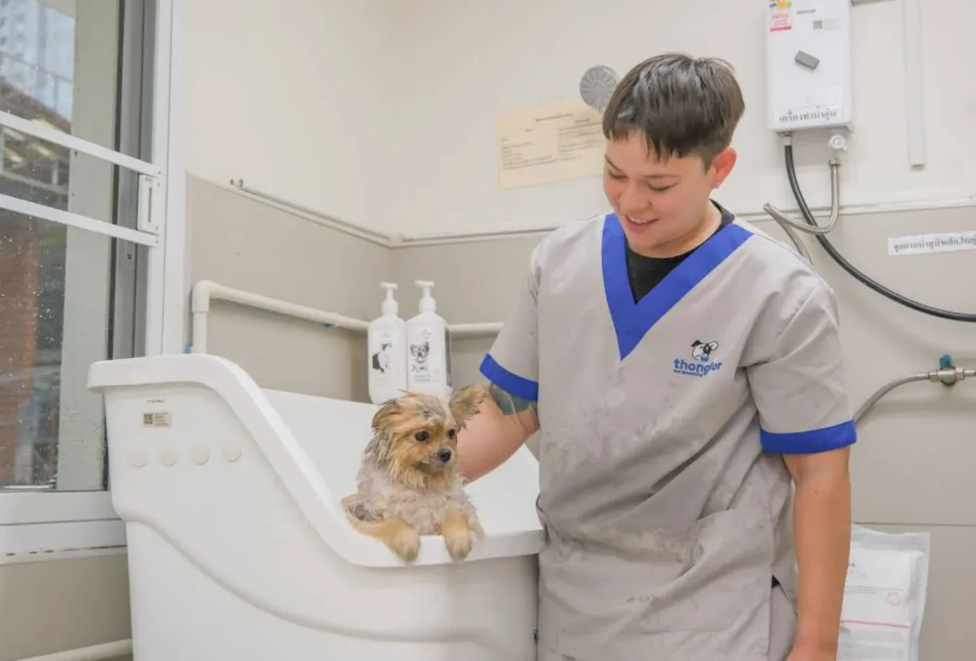 Thonglor Pet Hospital Asoke – Prasarnmit โรงพยาบาลสัตว์ทองหล่อ อโศก-ประสานมิตร คลินิก-โรงพยาบาลสัตว์ กรุงเทพมหานคร