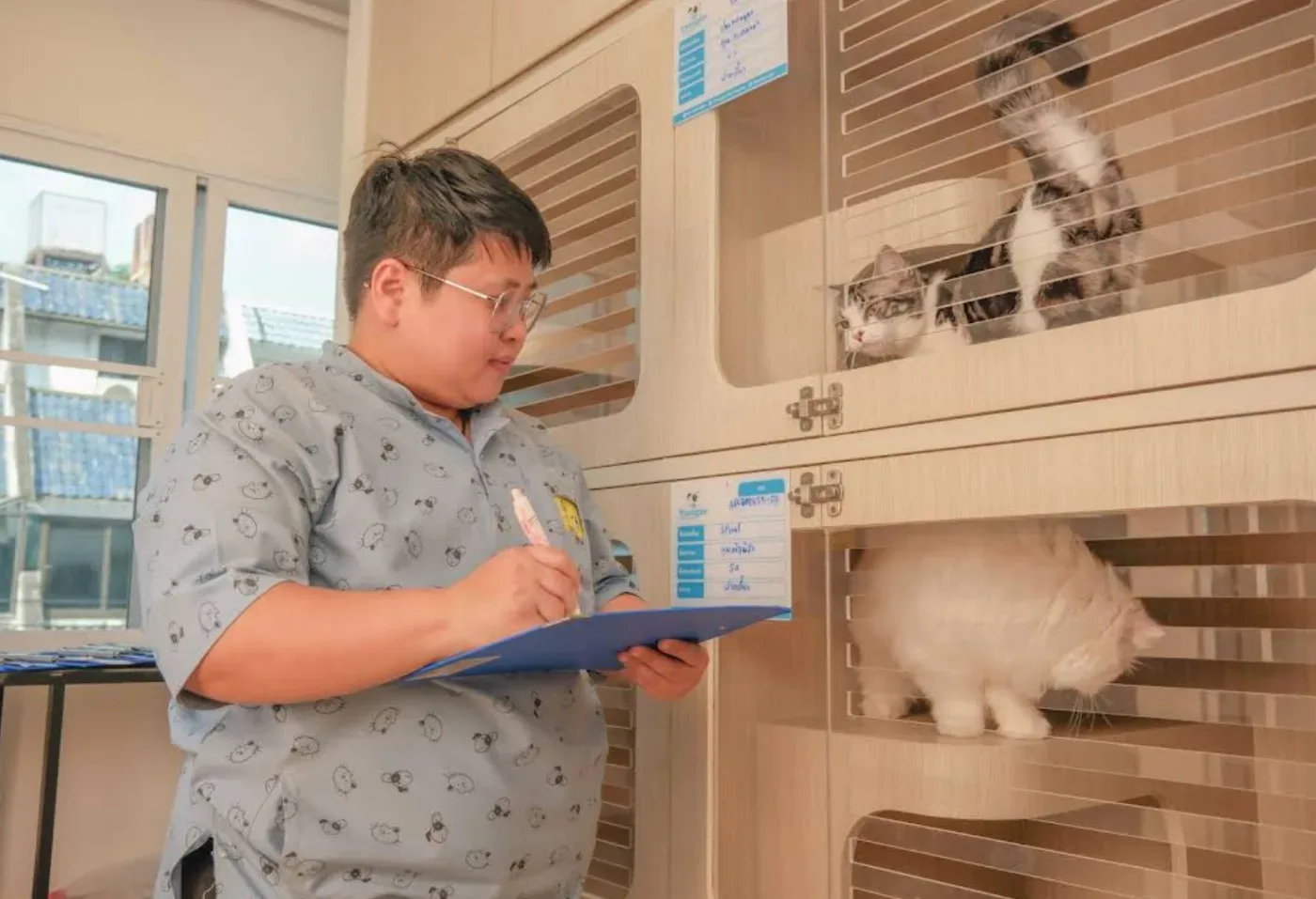 Thonglor Pet Hospital Asoke – Prasarnmit โรงพยาบาลสัตว์ทองหล่อ อโศก-ประสานมิตร คลินิก-โรงพยาบาลสัตว์ กรุงเทพมหานคร 4
