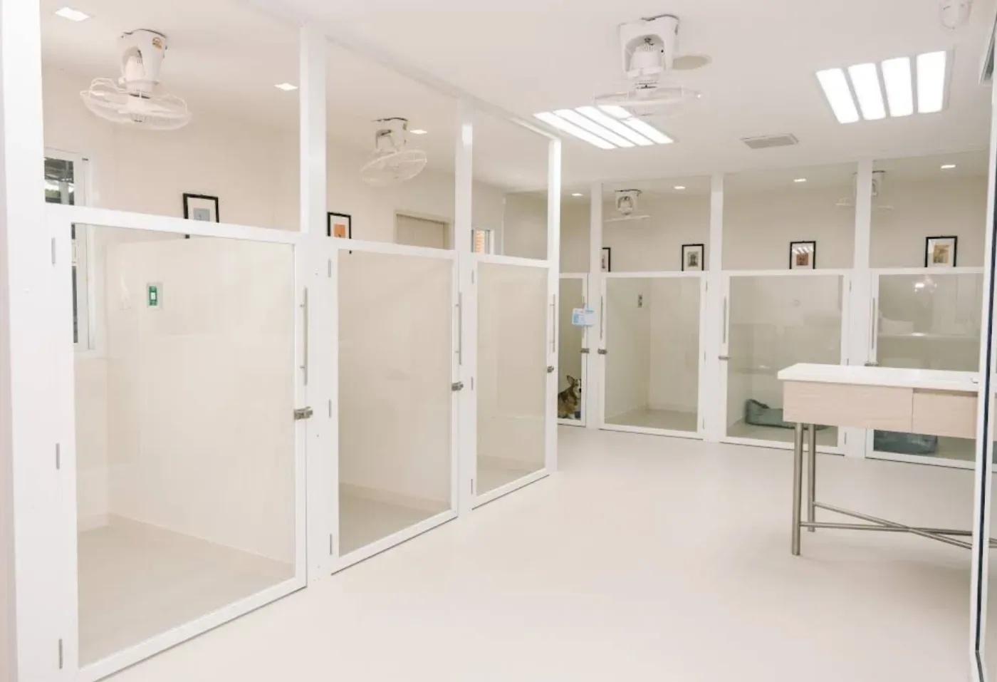 Thonglor Pet Hospital Asoke – Prasarnmit โรงพยาบาลสัตว์ทองหล่อ อโศก-ประสานมิตร คลินิก-โรงพยาบาลสัตว์ กรุงเทพมหานคร 5