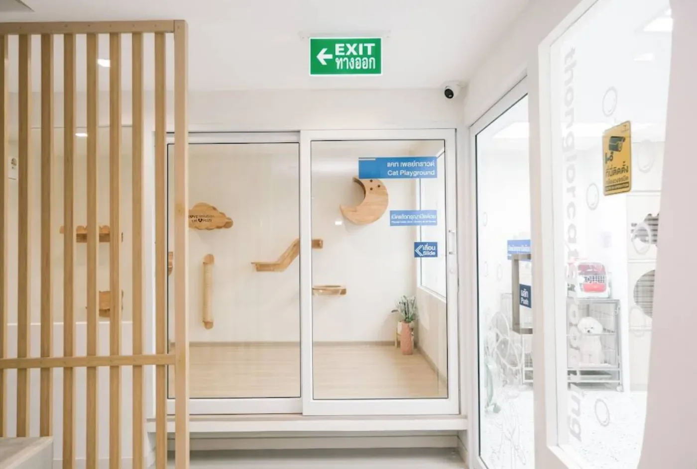 Thonglor Pet Hospital Asoke – Prasarnmit โรงพยาบาลสัตว์ทองหล่อ อโศก-ประสานมิตร คลินิก-โรงพยาบาลสัตว์ กรุงเทพมหานคร 6