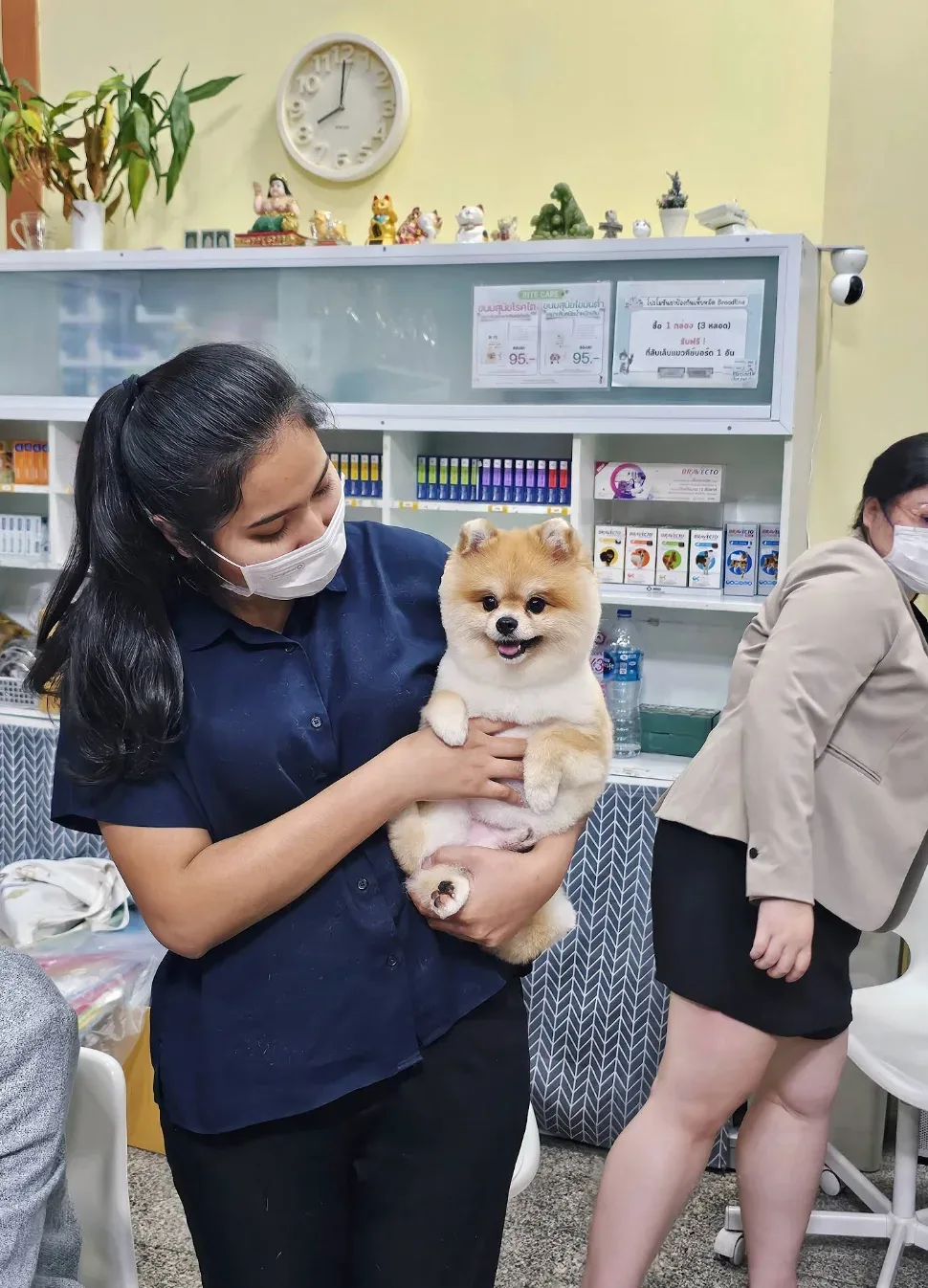 Arun Animal Hospital Pinklao โรงพยาบาลสัตว์อรุณ สาขาปิ่นเกล้า คลินิก-โรงพยาบาลสัตว์ กรุงเทพมหานคร 4