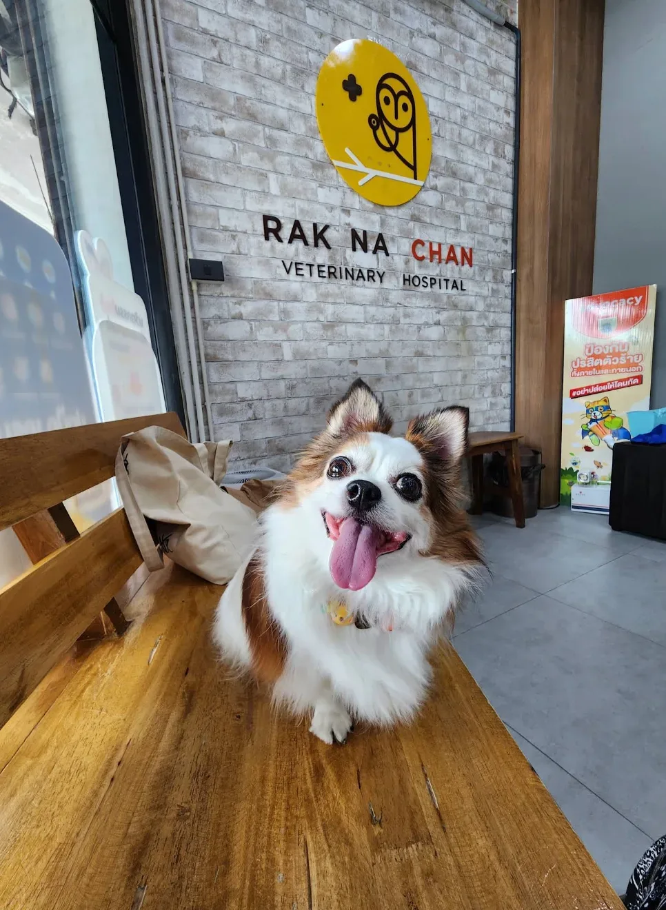 Rak Na Chan Animal Hospital คลินิก-โรงพยาบาลสัตว์ กรุงเทพมหานคร 2