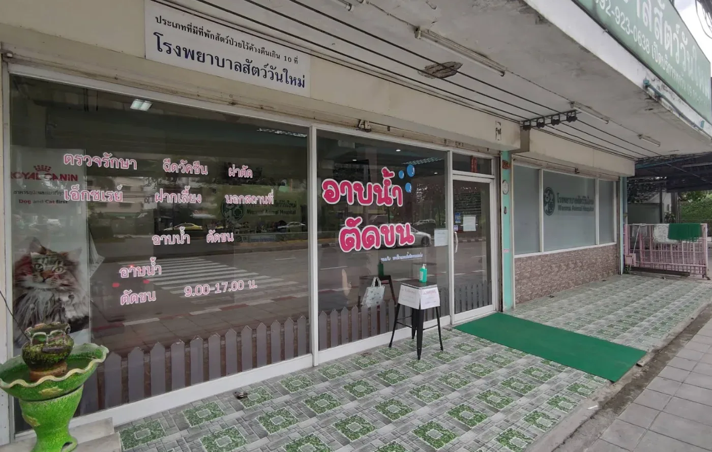 โรงพยาบาลสัตว์วันใหม่ คลินิก-โรงพยาบาลสัตว์ กรุงเทพมหานคร 2