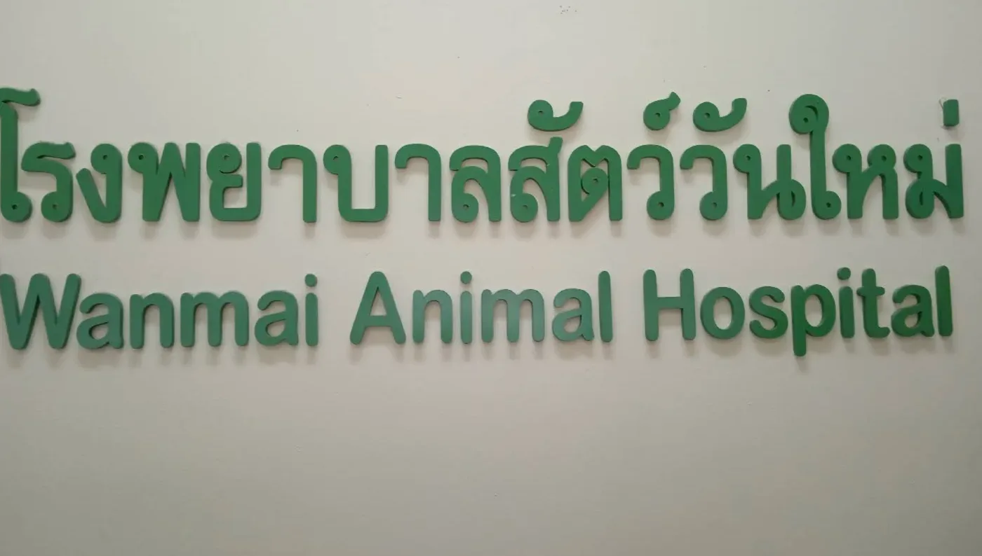 โรงพยาบาลสัตว์วันใหม่ คลินิก-โรงพยาบาลสัตว์ กรุงเทพมหานคร 3