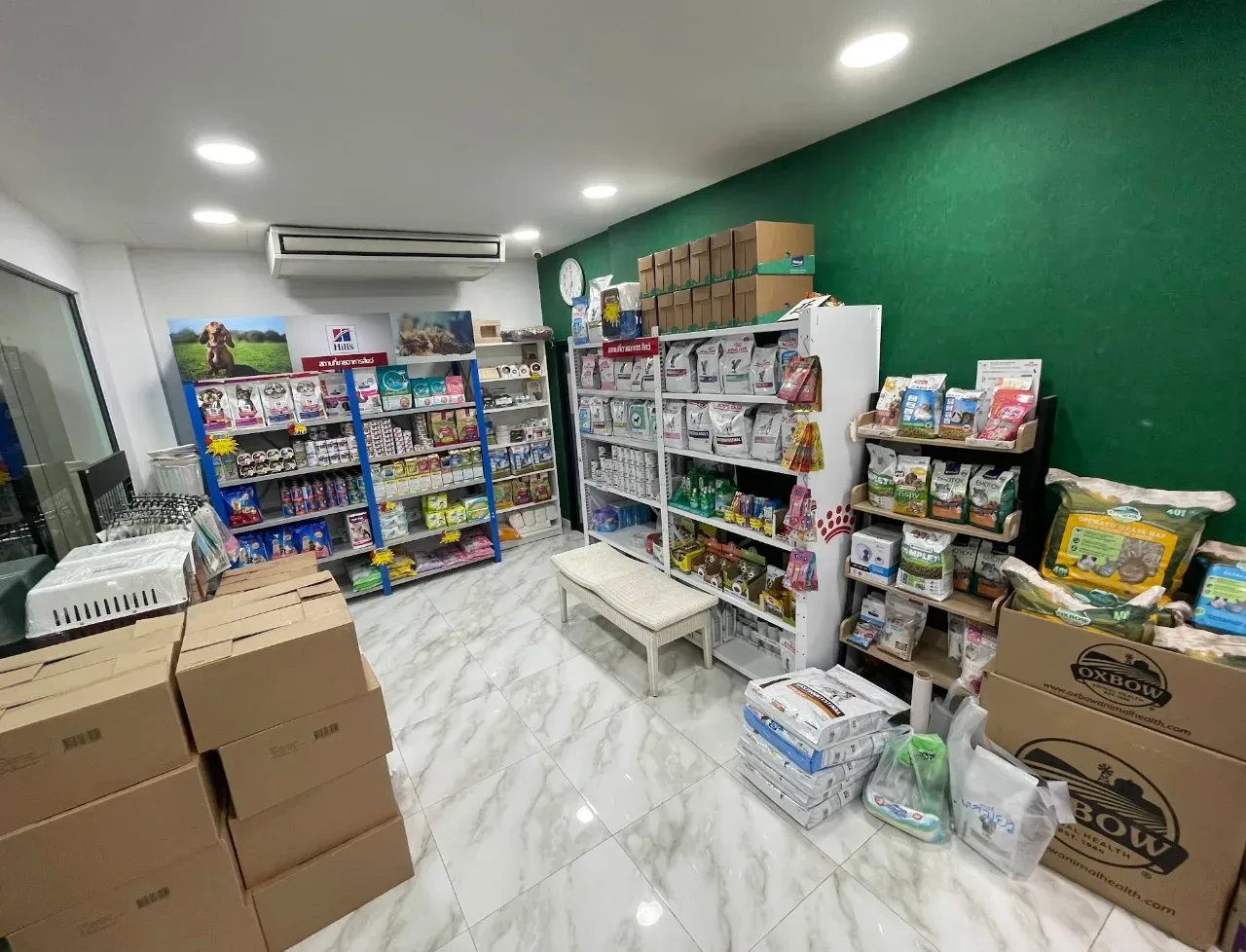 Platinum Animal Hospital โรงพยาบาลสัตว์แพลตตินัม คลินิก-โรงพยาบาลสัตว์ กรุงเทพมหานคร 5