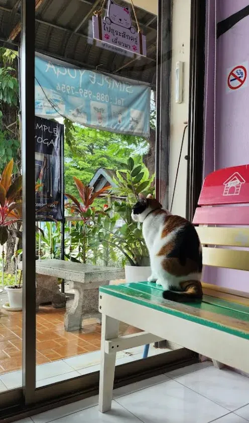 คลินิกสัตวแพทย์ 19 คลินิก-โรงพยาบาลสัตว์ กรุงเทพมหานคร 2