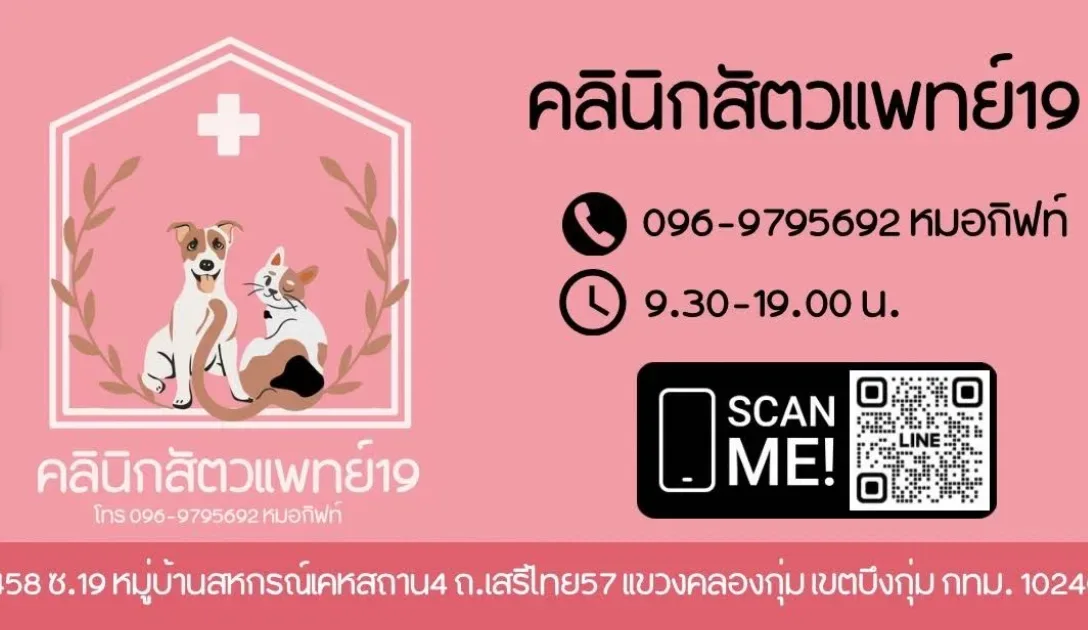 คลินิกสัตวแพทย์ 19 คลินิก-โรงพยาบาลสัตว์ กรุงเทพมหานคร 3
