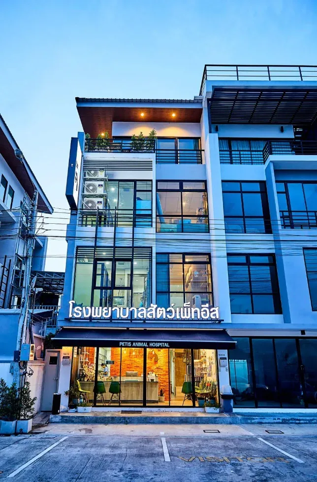 โรงพยาบาลสัตว์เพ็ทอีส PETiS Animal hospital คลินิก-โรงพยาบาลสัตว์ กรุงเทพมหานคร 2