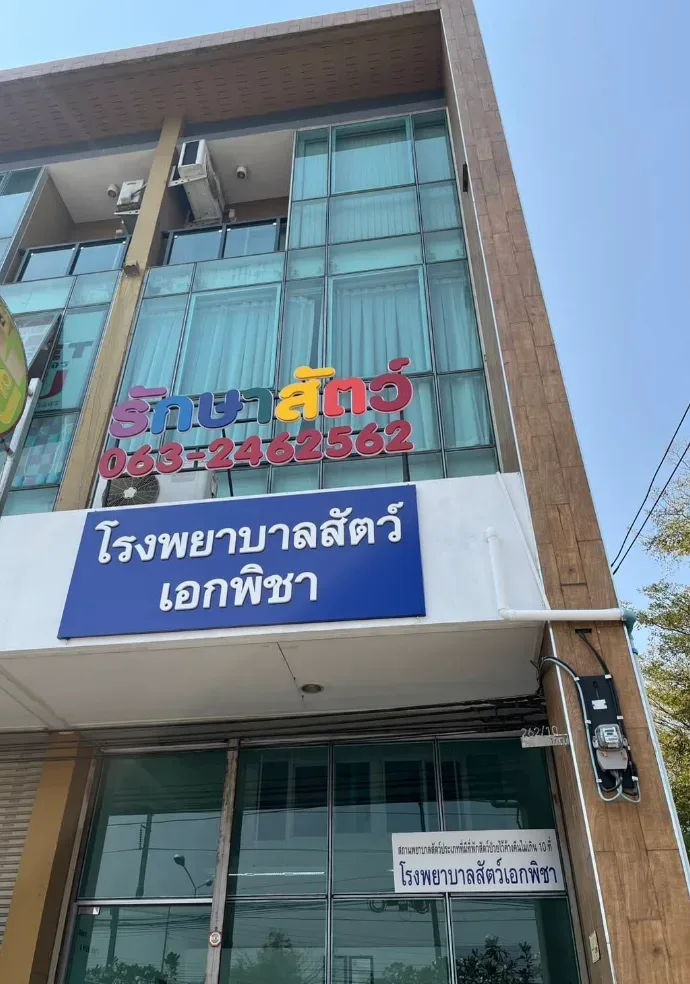 โรงพยาบาลสัตว์เอกพิชา คลินิก-โรงพยาบาลสัตว์ กรุงเทพมหานคร 2
