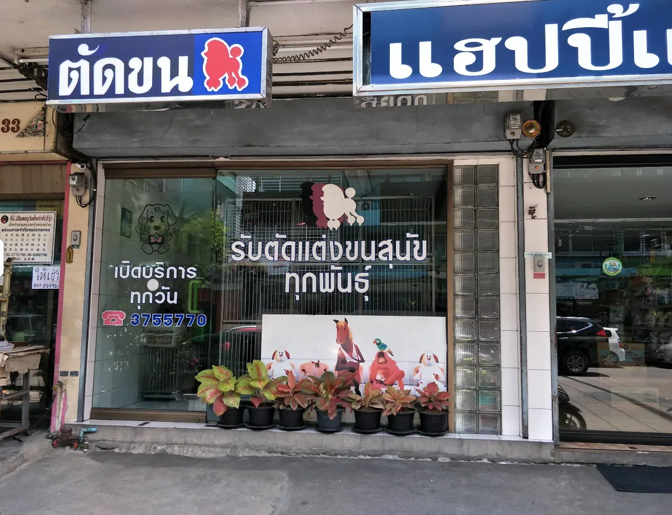 โรงพยาบาลสัตว์แฮปปี้แลนด์ คลินิก-โรงพยาบาลสัตว์ กรุงเทพมหานคร 3
