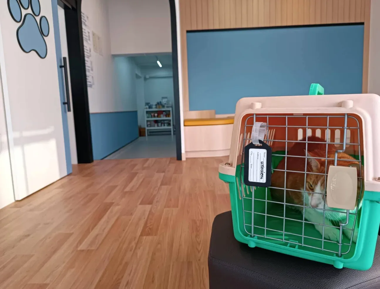 โรงพยาบาลสัตว์ยูเว็ท รามคำแหง (83/2) 24 ชั่วโมง UVET Animal Hospital Ramkhamhaeng คลินิก-โรงพยาบาลสัตว์ กรุงเทพมหานคร 4
