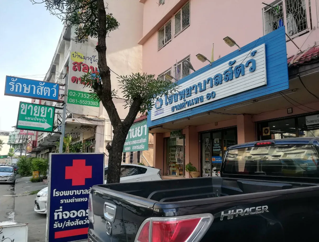 โรงพยาบาลสัตว์ รามคำแหง 60 คลินิก-โรงพยาบาลสัตว์ กรุงเทพมหานคร 2
