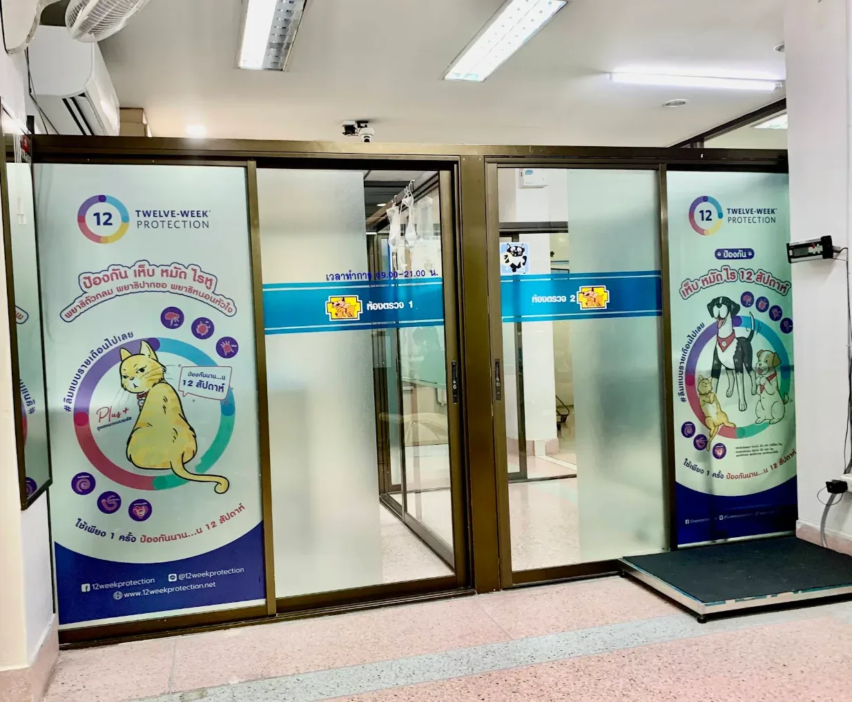โรงพยาบาลสัตว์ รามคำแหง 60 คลินิก-โรงพยาบาลสัตว์ กรุงเทพมหานคร 3