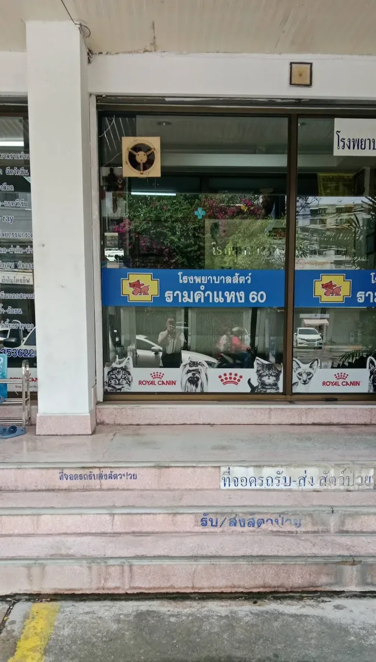 โรงพยาบาลสัตว์ รามคำแหง 60 คลินิก-โรงพยาบาลสัตว์ กรุงเทพมหานคร 4