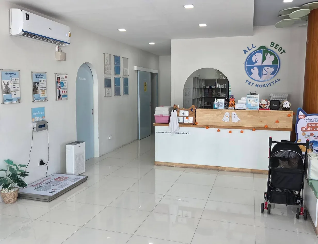 โรงพยาบาลสัตว์ออลเบสท์ – All Best Pet Hospital คลินิก-โรงพยาบาลสัตว์ กรุงเทพมหานคร 2