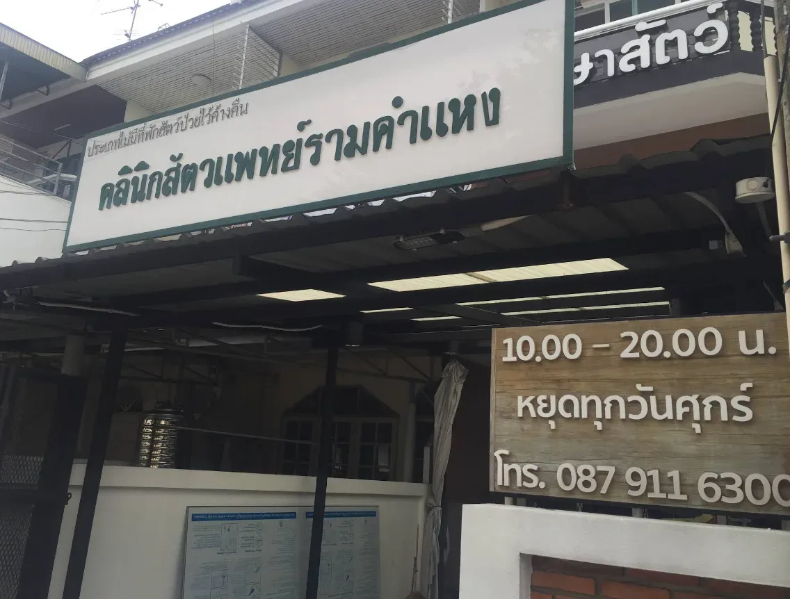 คลินิก สัตวแพทย์รามคำแหง คลินิก-โรงพยาบาลสัตว์ กรุงเทพมหานคร 3