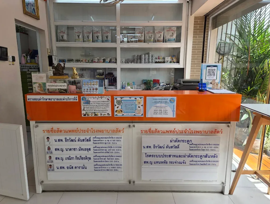 โรงพยาบาลสัตว์หมาแมวยิ้มแฉ่ง คลินิก-โรงพยาบาลสัตว์ กรุงเทพมหานคร 6