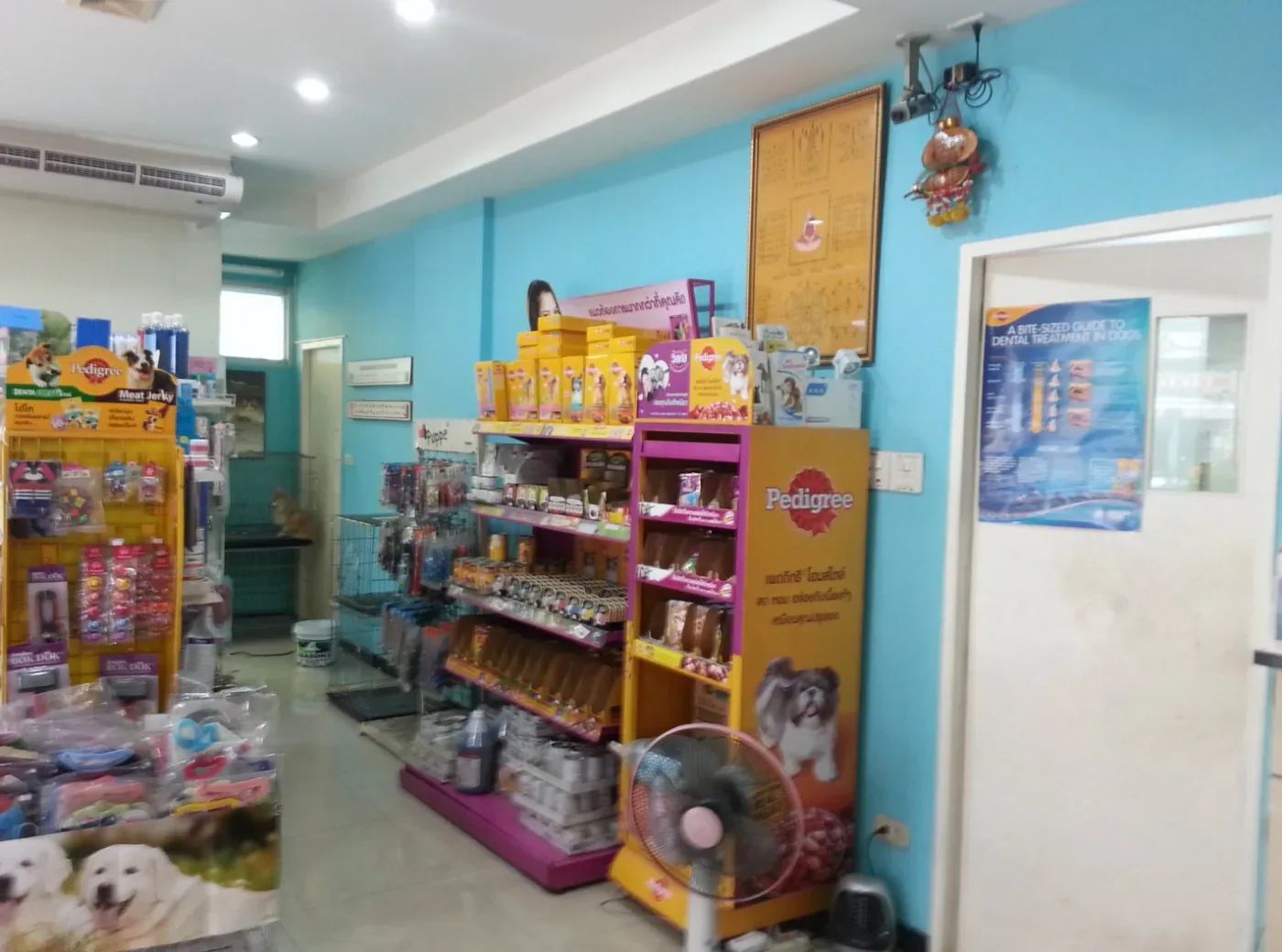 Piamsuk Animal Hospital – โรงพยาบาลสัตว์ เปี่ยมสุข คลินิก-โรงพยาบาลสัตว์ กรุงเทพมหานคร 2