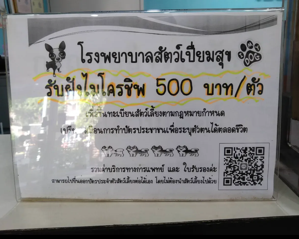 Piamsuk Animal Hospital – โรงพยาบาลสัตว์ เปี่ยมสุข คลินิก-โรงพยาบาลสัตว์ กรุงเทพมหานคร 6