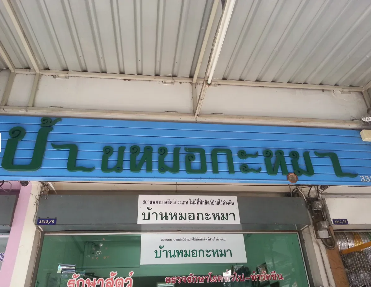 คลินิกบ้านหมามีรัก คลินิก-โรงพยาบาลสัตว์ กรุงเทพมหานคร 3
