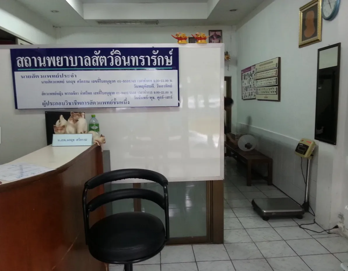 สถานพยาบาลสัตว์ อินทรารักษ์ รักษาสัตว์ คลินิก-โรงพยาบาลสัตว์ กรุงเทพมหานคร