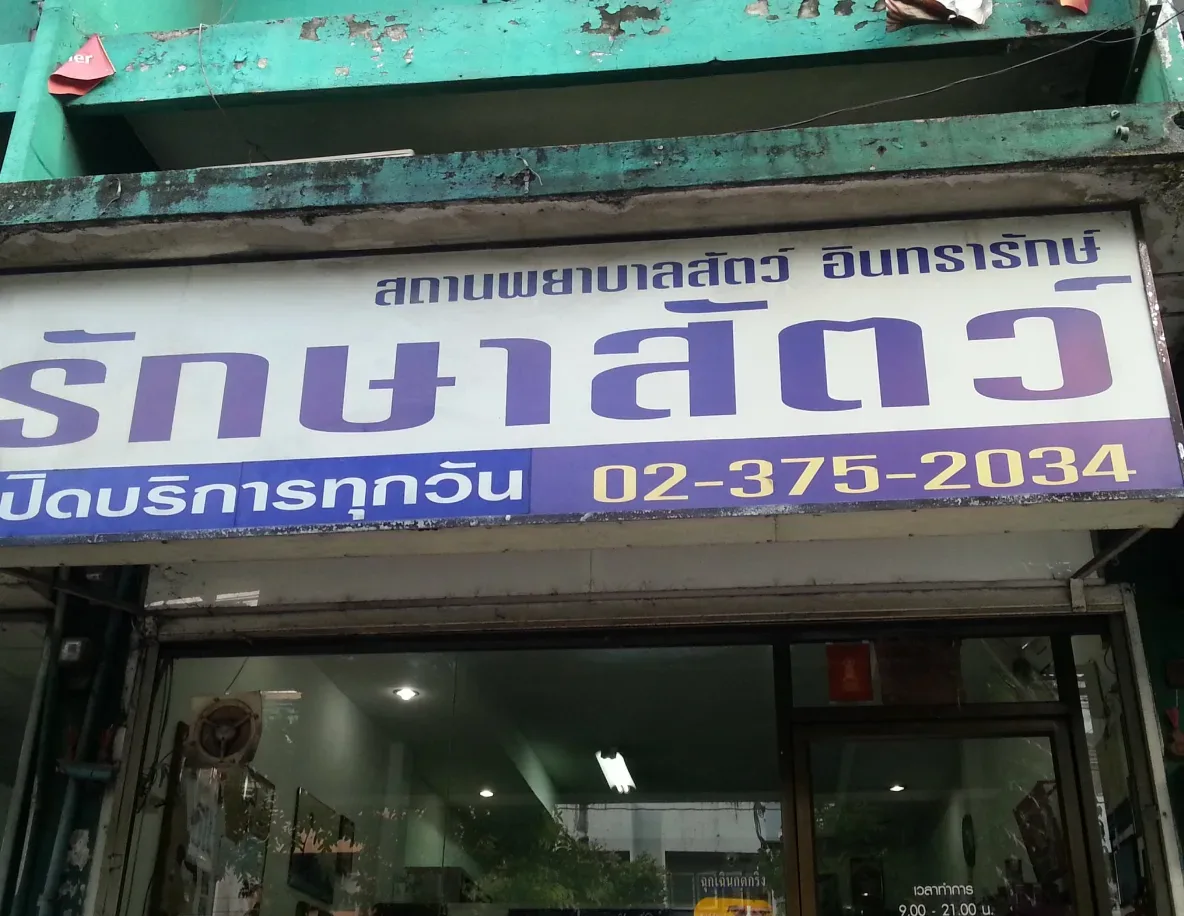 สถานพยาบาลสัตว์ อินทรารักษ์ รักษาสัตว์ คลินิก-โรงพยาบาลสัตว์ กรุงเทพมหานคร 2