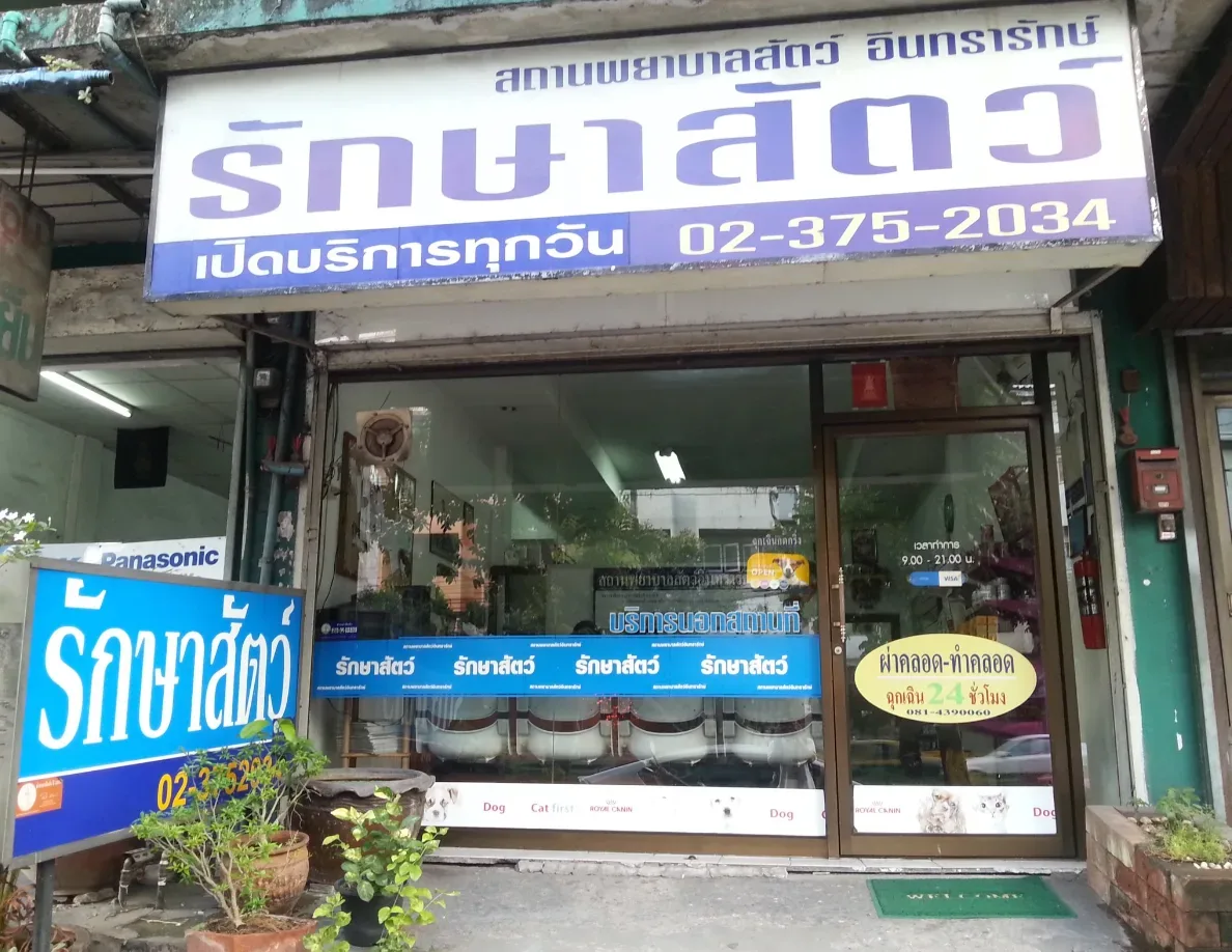 สถานพยาบาลสัตว์ อินทรารักษ์ รักษาสัตว์ คลินิก-โรงพยาบาลสัตว์ กรุงเทพมหานคร 3