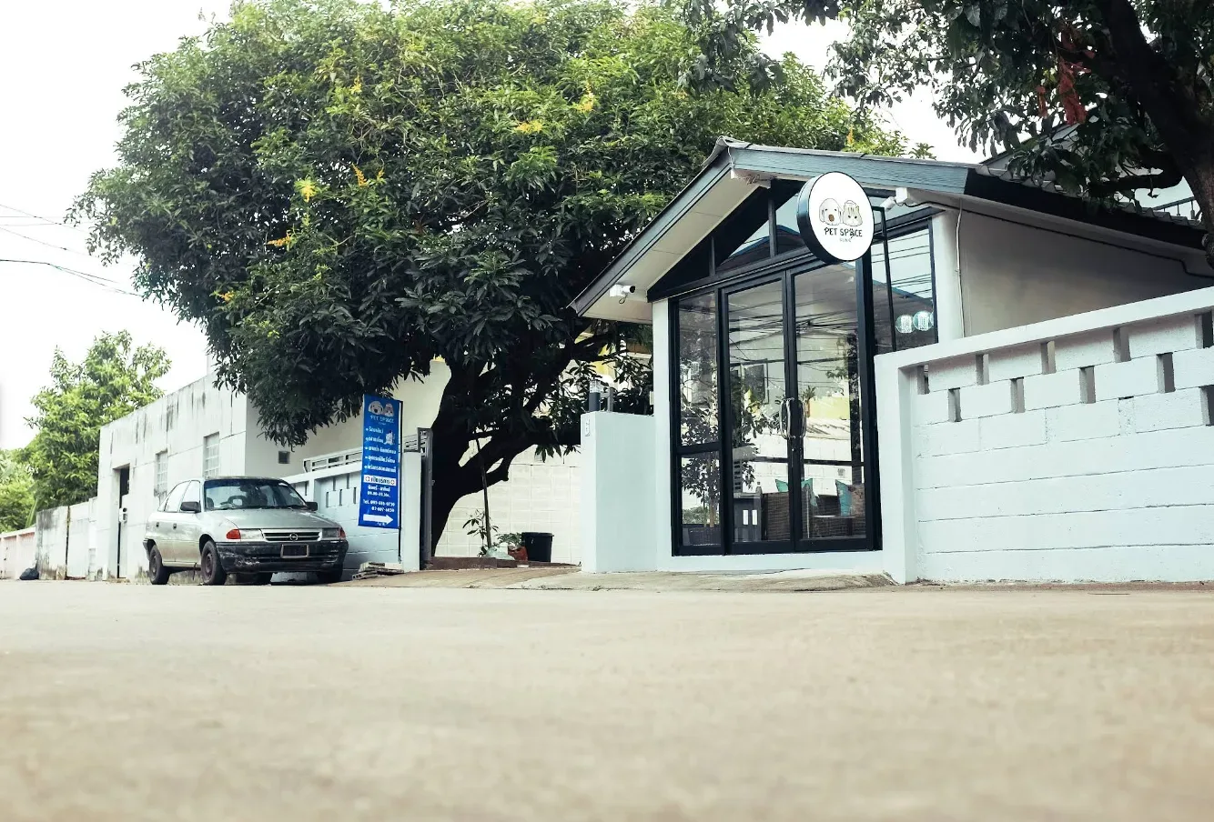 Pet Space Clinic คลินิกรักษาสัตว์เพ็ทสเปซและฝากเลี้ยง คลินิก-โรงพยาบาลสัตว์ กรุงเทพมหานคร 2