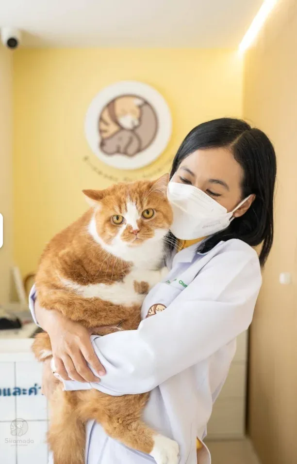 โรงพยาบาลสัตว์สิรมาดา Siramada Pet Hospital คลินิก-โรงพยาบาลสัตว์ กรุงเทพมหานคร