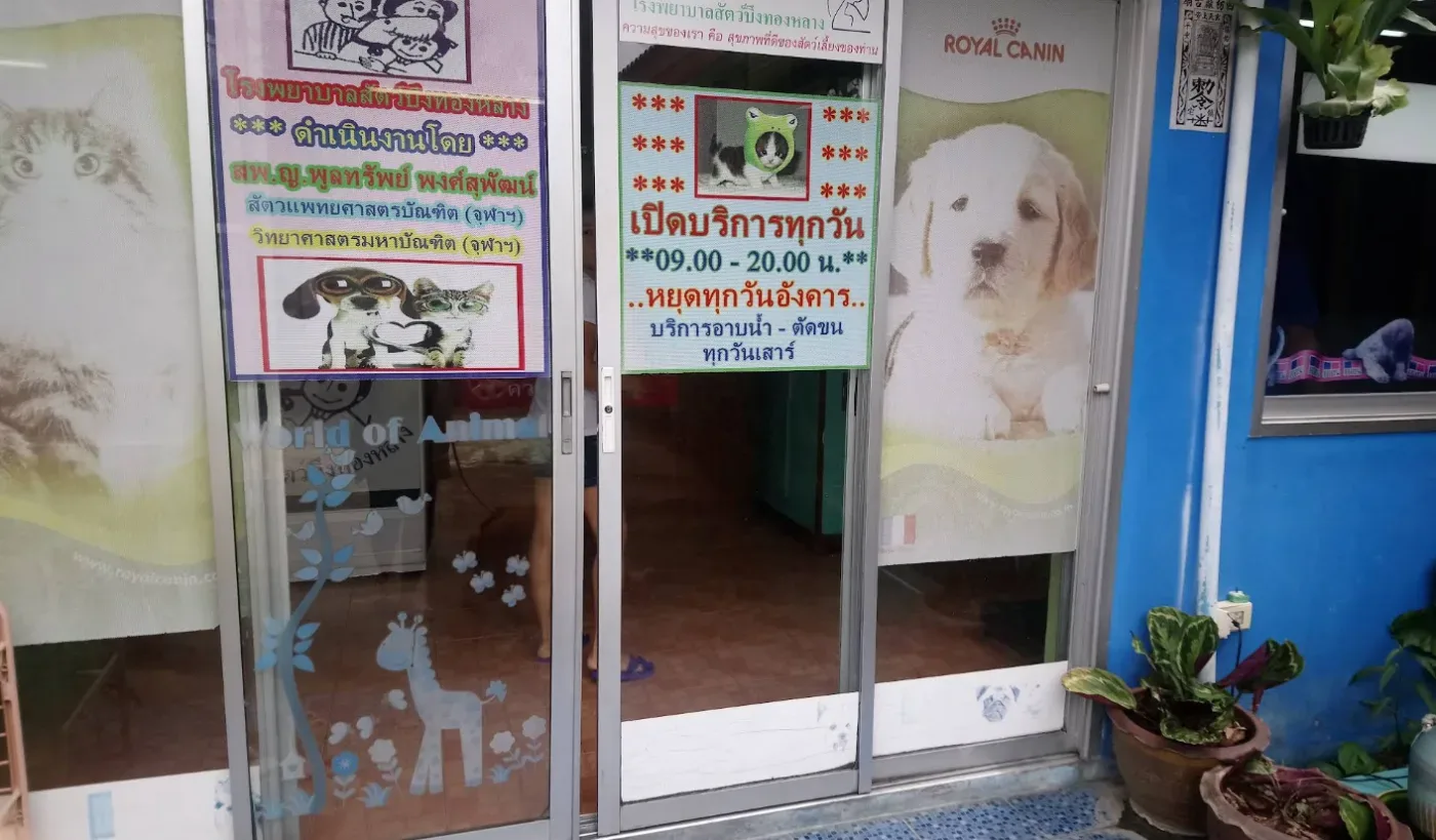 Bung Thong Lang Animal Hospital คลินิก-โรงพยาบาลสัตว์ กรุงเทพมหานคร 4