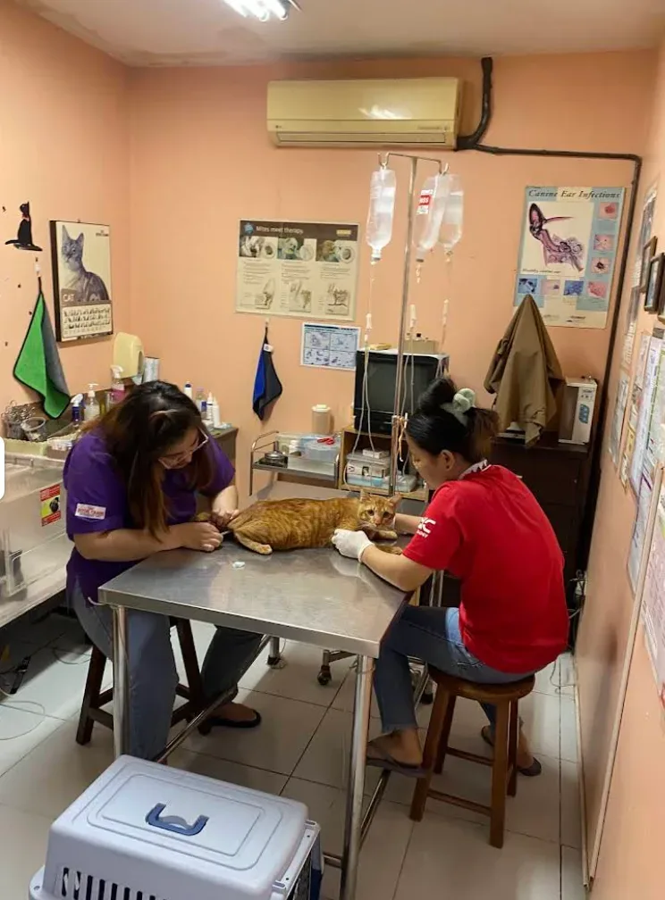 Hua Mak Pet Place Animal Hospital คลินิก-โรงพยาบาลสัตว์ กรุงเทพมหานคร 5